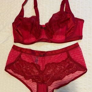 Adore Me Deep Red Lace Bra Set